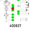 Circlip Sb 35-seeger