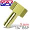 Brass Hose Tail 1/4 F X 9mm