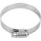 Hose Clamp 300 S/steel 46-70mm Bulk Each