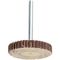 TORK CRAFT Mini Flap Wheel 29.5 x 5mm 80 Grit 3.2mm Shank