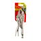 Plier Locking Curved Jaw 170mm