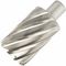 Annular Hole Cutter Hss 42 X 55mm Weld Shank 19.05mm
