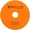 100mm Diamond Polishing Pad 300 Grit Dry Use